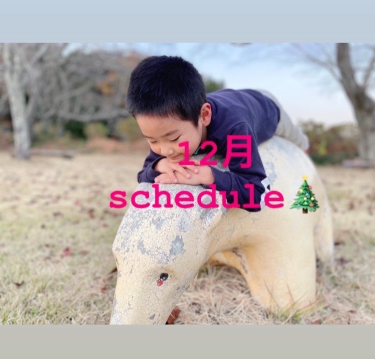 🌈12月schedule♡