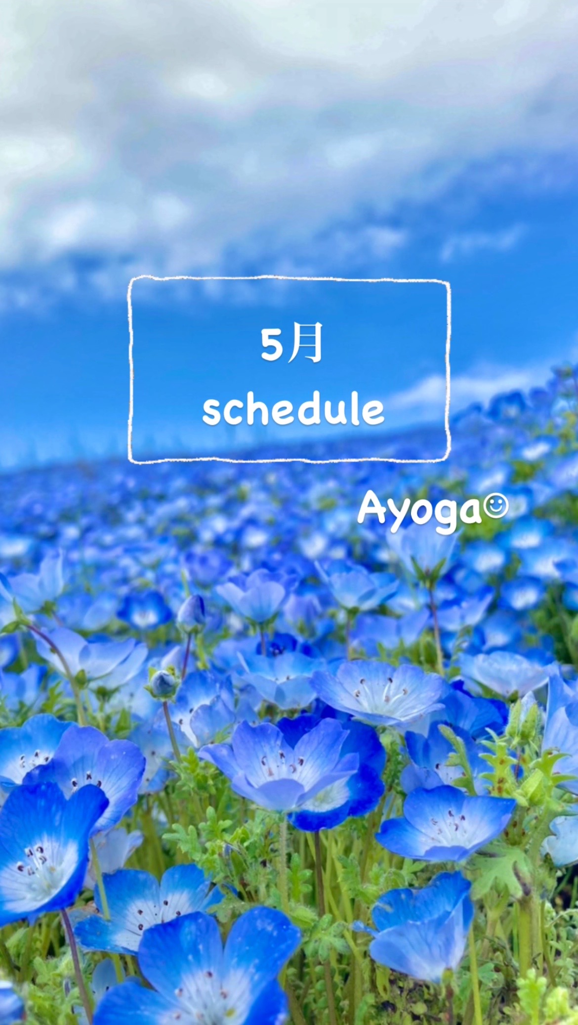 🌈5月スケジュールᵕ̈*